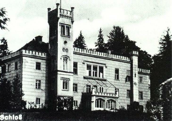 Palac Dabrowica Dabrowica  Exteriör bild
